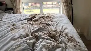 DOG DESTROYS HOUSE. DONT GET A DOG! EVER!