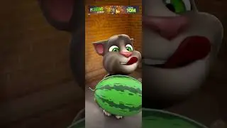 My Talking tom 3 | Episode No. 1628  | #talkingtom #mytalkingtom