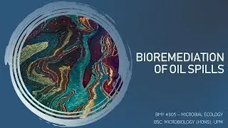 BMY 4305 Documentation Video: Bioremediation of Oil Spills