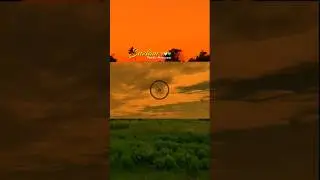 26 January 2025 Republic day status || whatsapp status || happy Republic day status