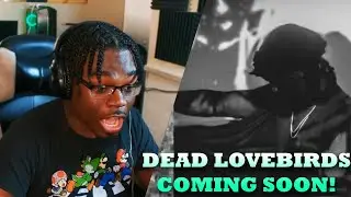 СЮРПРИЗ!!! | VI Seconds - Dead Lovebirds Don't Sing (Официальный аудиоклип) РЕАКЦИЯ