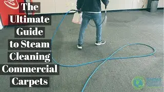 The Ultimate Guide to Steam Cleaning Commercial Carpets