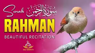 Surh Rahman | By Sheikh Bilal Fazal | with Arabic text (HD) Surah Rehman Daily Quran Btv