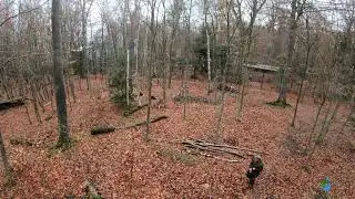 Wolfsf&uuml;tterung - Tierpark Hexentanzplatz Thale