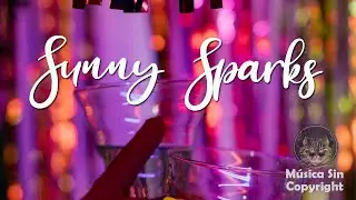 Sunny Sparks  [No Copyright Music Vlog]