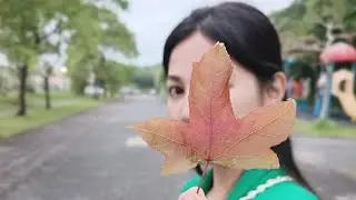 Trip Namin : Taipei, Taiwan | Cinematic Travel Video (no talk, less POV) | Taiwan Part 1