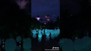 #SINGAPORE  AMAZING FLOATING EGGS