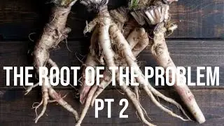 AQUARIUS ♒️ALL ZODIAC SIGNS WELCOME ‼️ROOT PT 2 ‼️ENERGY PULL‼️ROOT WORK EXPOSED ‼️QUIET MIND‼️