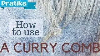 Horse Riding - How to Use the Curry Comb