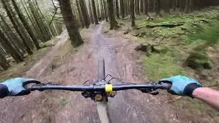 Bike Park Wales - Sixtapod - Locomotion - Willy Waver