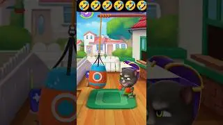 Talking tom cat 🌴||boxint time 💪😎🔥💯||#talkingtom #talkingtomandfriends #shorts #viralshort