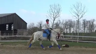 amélioration du trot janvier 2021