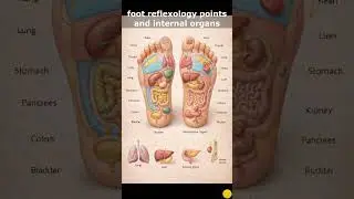 Foot reflexology points for internal organs #footmassage #healthandfitness #health #food #yt #short