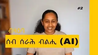 ብዛዕባ ሰብ ሰራሕ ብልሒ / What is Artificial Intelligence or AI?