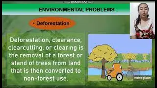 Sustainable Environment