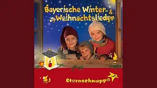 Liaba guada Nikolo (Lustiges bayerisches Nikolauslied)