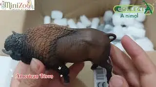 Unboxing Collecta Animal figures _ Minizoo store 😊😍