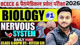 Paramedical & BCECE 2026  🔥 | Bihar Paramedical & Nursing 2026 | GNM/ANM/BSc Nursing DAY 4