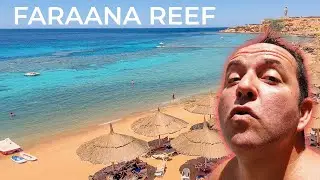 Faraana Reef Hotel - Sharm