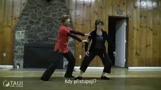 Vlasta Pechová - Taichi - Nevada City, Kalifornie 2011