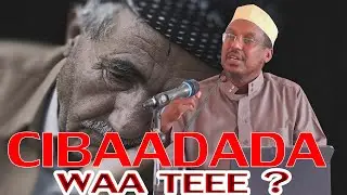 CIBAADADA LA AQBALO WAA TEE ? MAXAASA LAGAA RABAA ? || Sh Mustafe Ismaaciil Haaruun