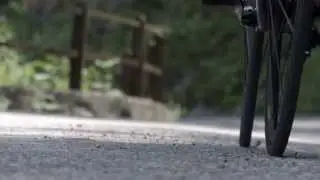 De Marchi PERFECTO BIB SHORT