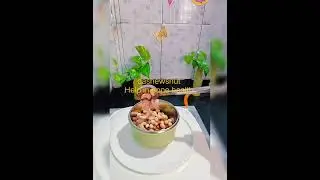High protein sprout #health tips #subscribe#like