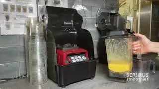 Serious Smoothies -  Our Easy and Delicious Real Fruit Frozen Smoothies - A Step-by-Step Guide