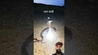 Naagmani || Snake Stone Scam