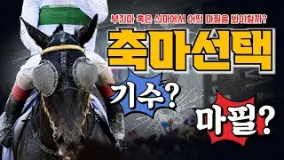경마 최대고민!! 축마 어떻게 잡아야 하나??(부진마 혹은 신마인 경우)#박수홍경마#축마잡는법#부진마경주