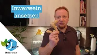 Ingwerwein ansetzen – der etwas andere, aber sehr leckere Wein