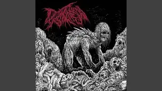 Foregut Opening Disfigurement Originated From Aciurgy
