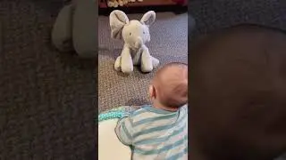 Baby Animated Flappy the Elephant
