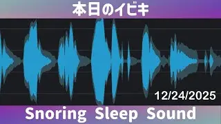 🐽 Snoring Sleep Sound