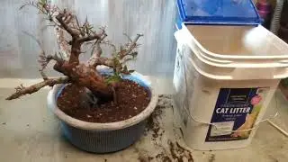 Proyecto de estilo llor&oacute;n (Shidare Zukuri) con falso  pimiento