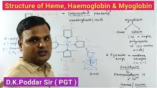Structure of Haemoglobin/Myoglobin/Heme/Porphyrin/Protoporphyrin lX/Conjugated Proteins/Biochemistry