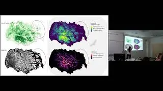 IENE 2024 - Maintaining ecological connectivity