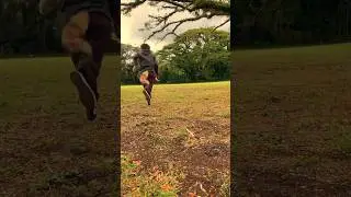 Running away is easy, it&rsquo;s the leaving that&rsquo;s hard. 🐾🌀🪲 #therian #quadrobics #fox