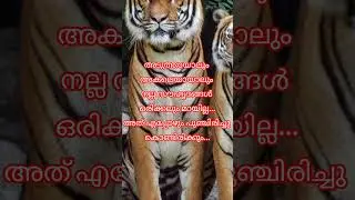 നല്ല സൗഹൃദങ്ങൾക്ക് ഒരിക്കലും മാങ്ങലേൽക്കില്ല#trendingshorts#statusvideomalayalam#shortsstatusvideo