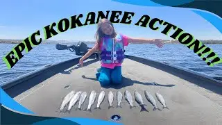 Epic Kokanee Bite With New Tackle Exploring Pardee