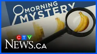Can you guess the comfy clothing? | Morning Mystery
