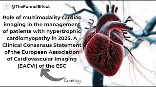 Role of multimodality cardiac imaging in the management of patients with hypertrophic cardiomyopathy