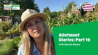 Allotment Diaries Part 19 - Supporting Birds and Wildlife Through Winter with Rachel Moore