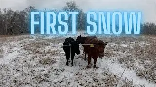 First SNOW of the winter!
