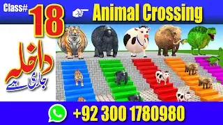 Animal Crossing Fountain Full Course in 15 Days | class 18