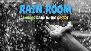 Rain Room - Sharjah Art Foundation - An Indoor Rain Experience in the Desert