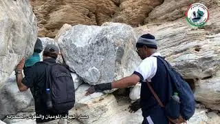 مسار : كهوف الموميان والنقوش الصخريه
