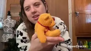 my Ty beanie baby collection part one