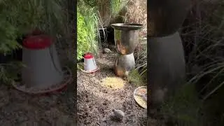Planted aviary