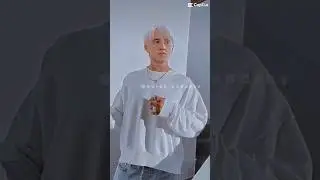 Draco Malfoy is so a popular boy￼ 💋🥵🥰🥰🥰🥰❤️